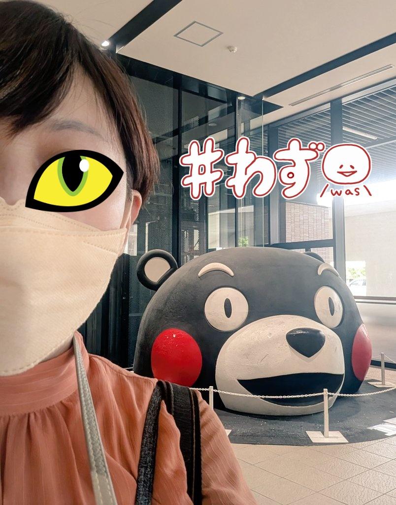 omu（おむ） tweet media