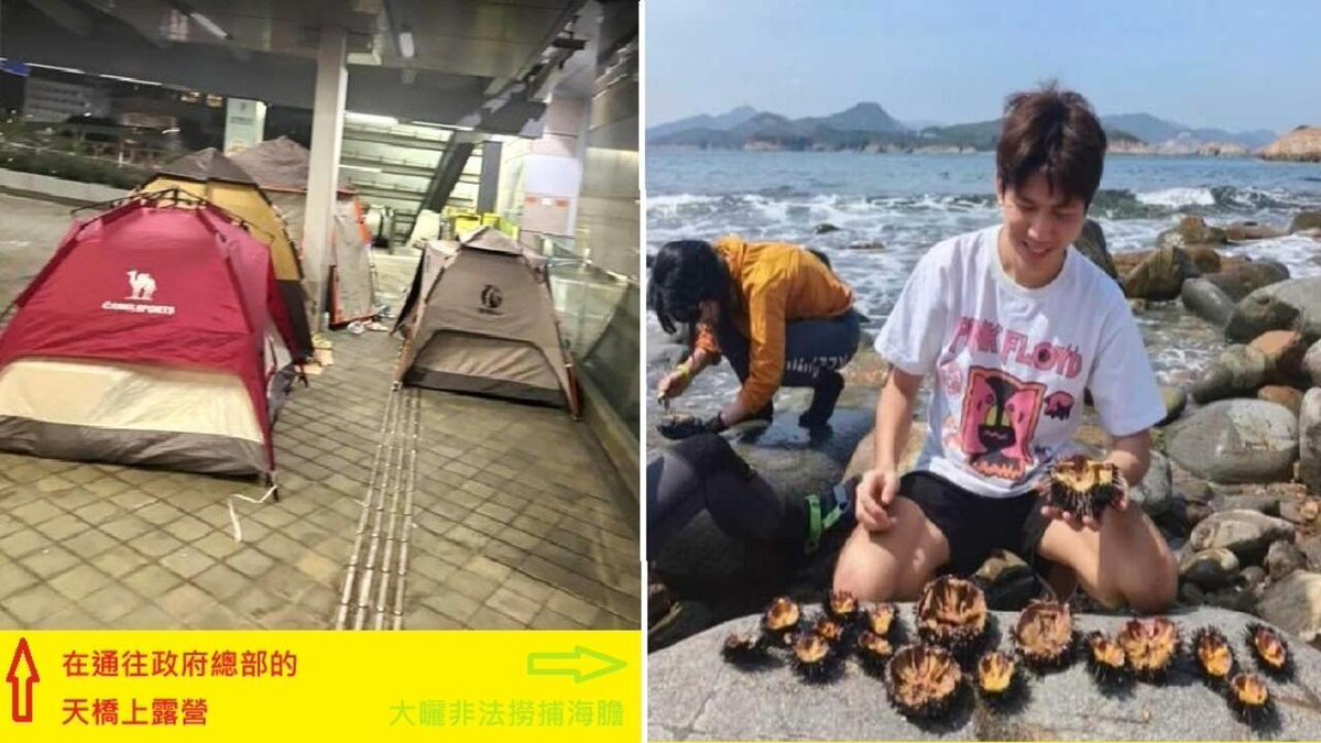 RFI 华语 - 法国国际广播电台 tweet media