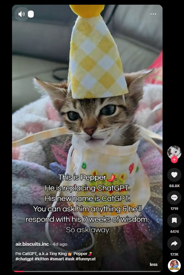selfawarepepe's tweet photo. Pepper Aka CatGPT is going viral on TikTok for being a hedge against ChatGPT

Instead of asking ChatGPT questions just reply to the TikTok post and ask CatGPT

Perfect time to run it while the entire tech comm is posting about the OpenAI party

https://t.co/Iyj6cVvQ1u https://t.co/M8WTNfFNeh