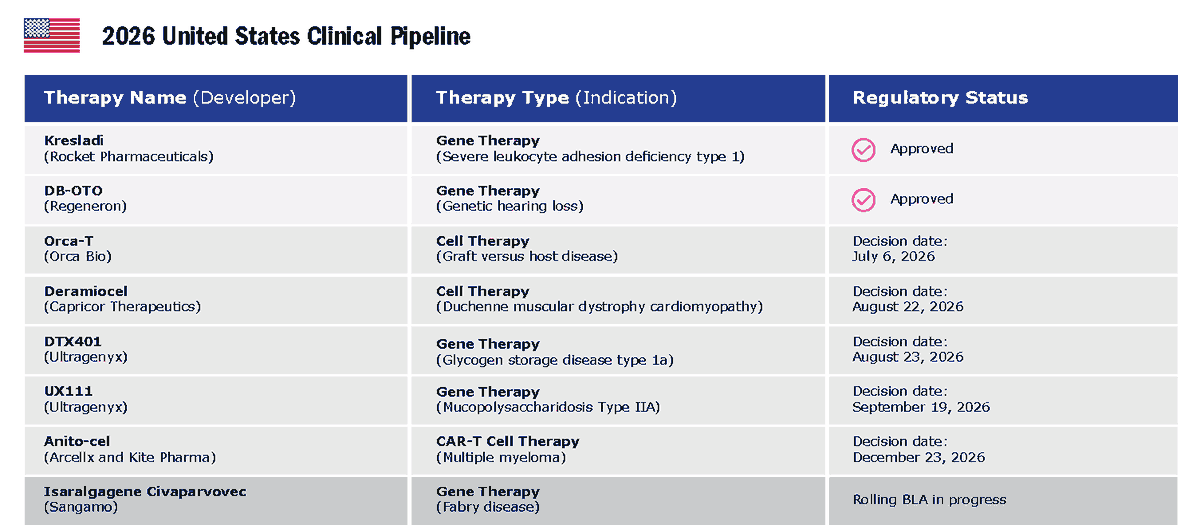 Alliance for Regenerative Medicine (ARM) tweet media