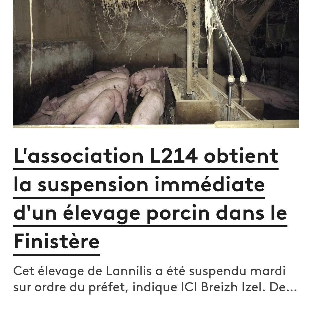 Pbe95's tweet photo. Encore merci à L214. https://t.co/MX3MsVDpkw