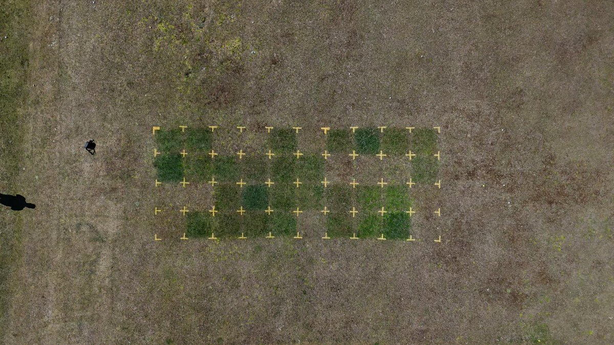 ICL Growing Solutions - Turf & Landscape 🇬🇧🇮🇪 tweet media