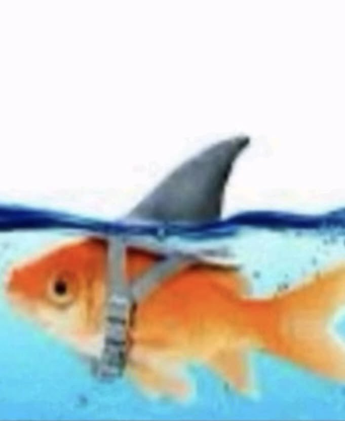 this is what being called a doctor feels like