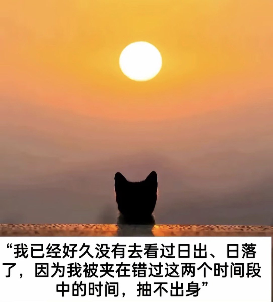 抽不出身！ https://t.co/87bUtzhj8L