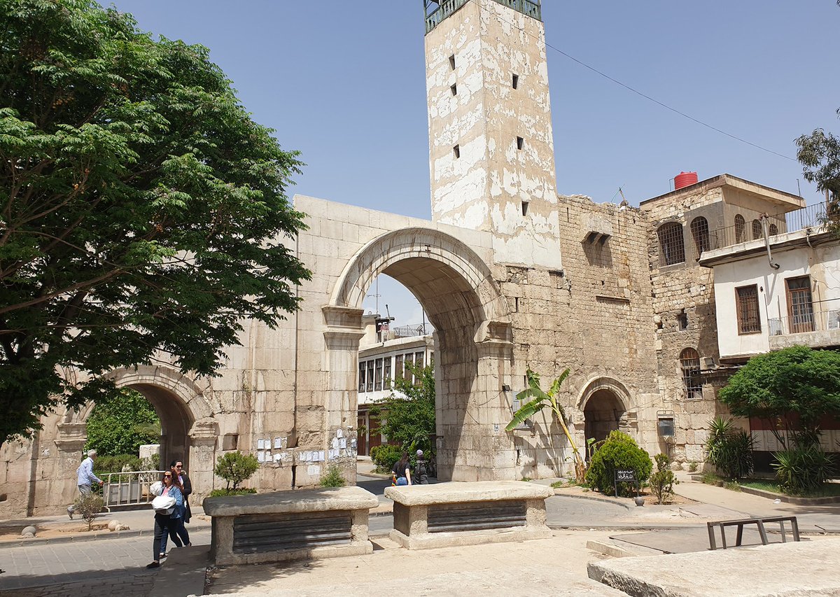 Zena زينة tweet media