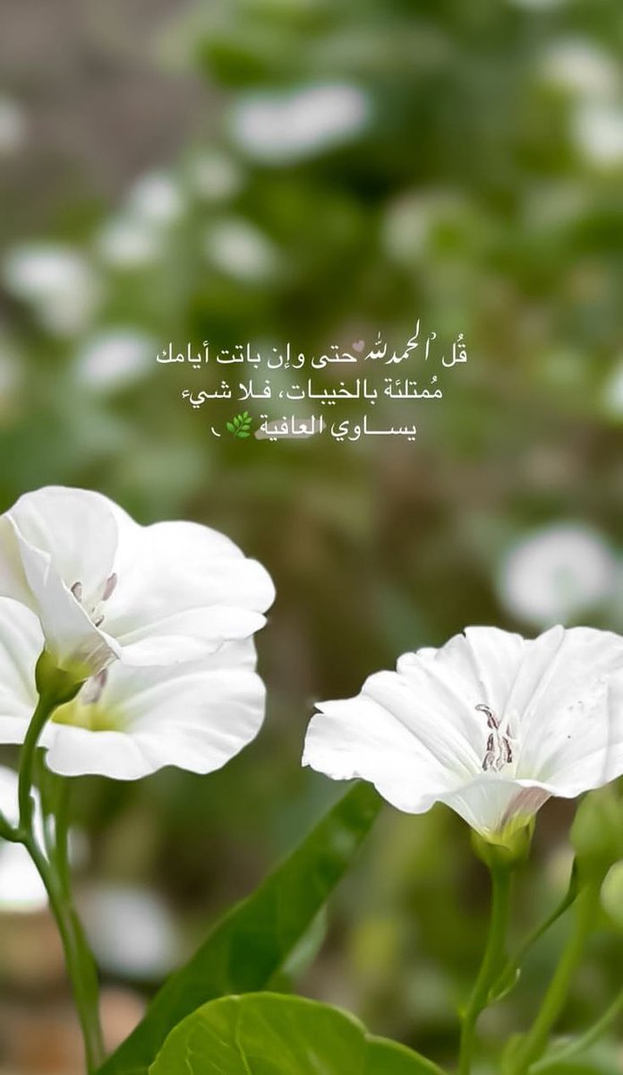 Noora (@nooraali1783865) on Twitter photo 