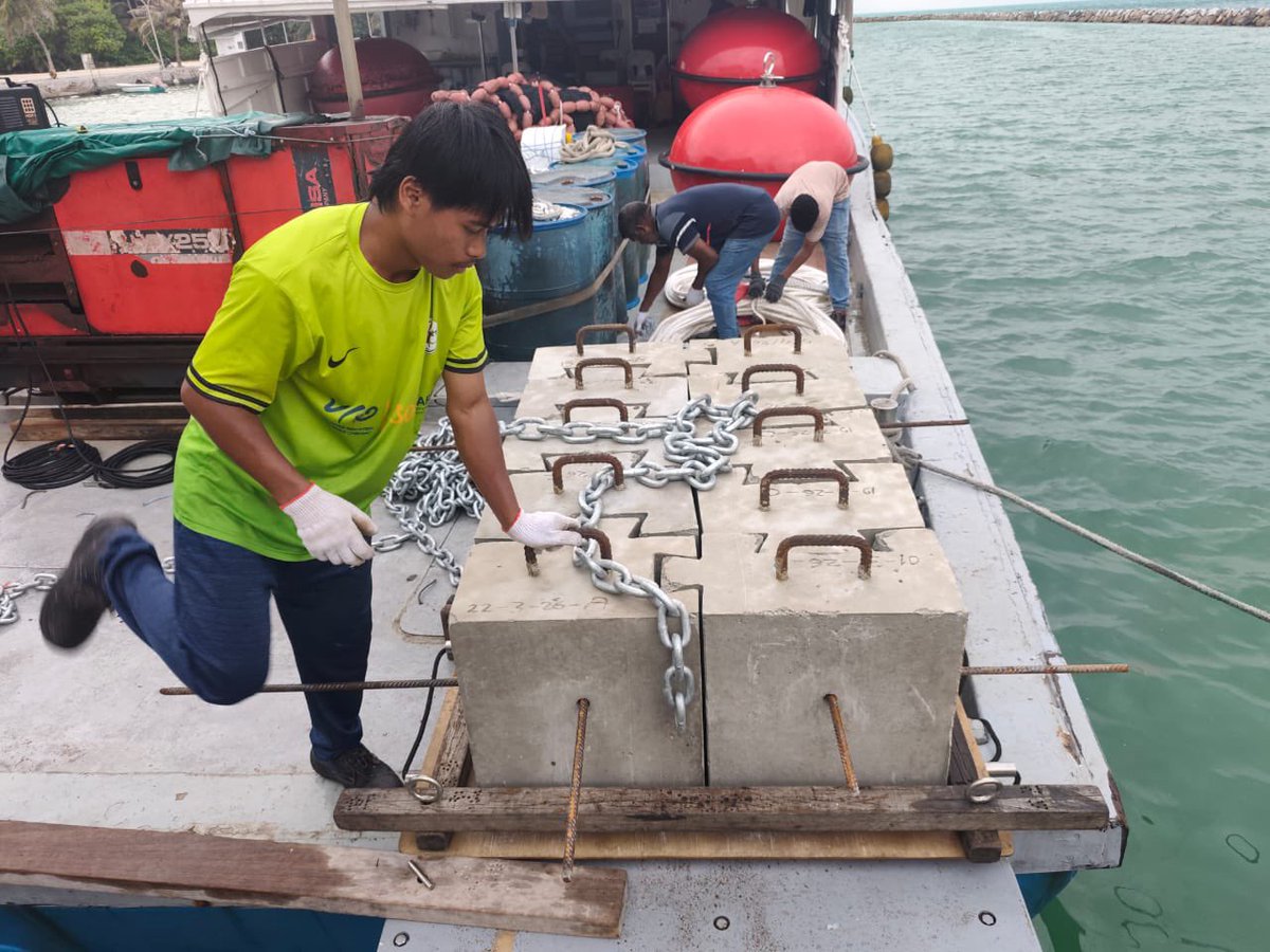 MFAORmv's tweet photo. ދޮށީ ކަނދުފަތި ނަންބަރު: B09D01-03
06 މޭ 2026 ވަނަ ދުވަހު ދޮށީ ކަނދުފަތި، ހއ.ކެލާގެ އުތުރުން  17 މޭލު ބޭރުގައި ޤާއިމްކޮށްފި. https://t.co/qarYEymOTy
