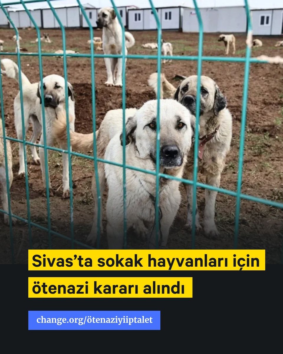 16 Nisan'da toplanan Sivas Valiliği Hayvanları Koruma Kurulu sokak hayvanları için ötenazi kararı aldı.

Bu, 5199 sayılı Kanun'un 13. maddesine dayandırılan karar şöyle:

"Bakımevine alınan köpeklerden; insan ve hayvanların hayatı ve sağlığı için tehlike teşkil eden ve olumsuz