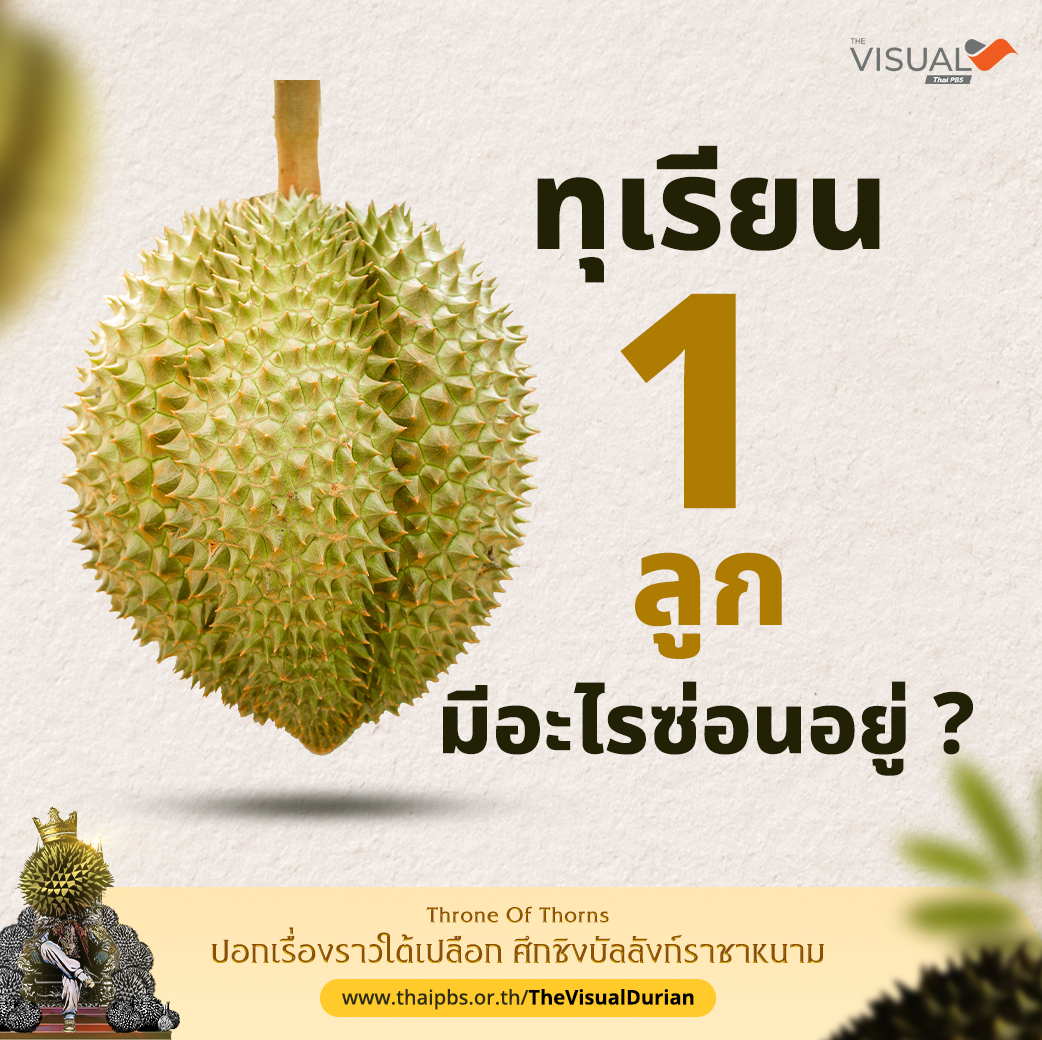 Thai PBS tweet media
