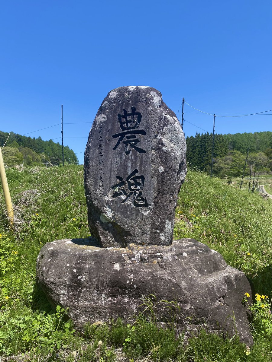 半田カメラ tweet media