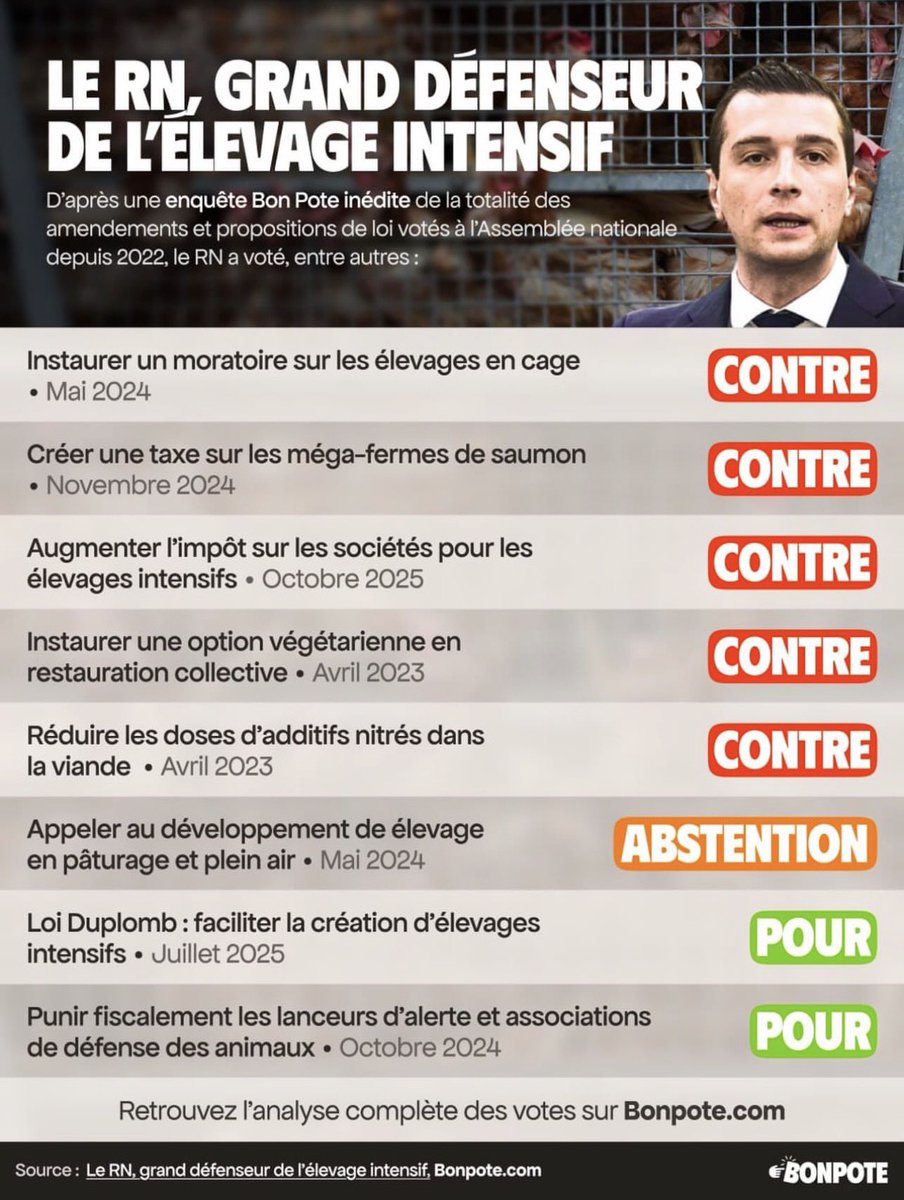 Condition animale - La France insoumise 🐢 tweet media