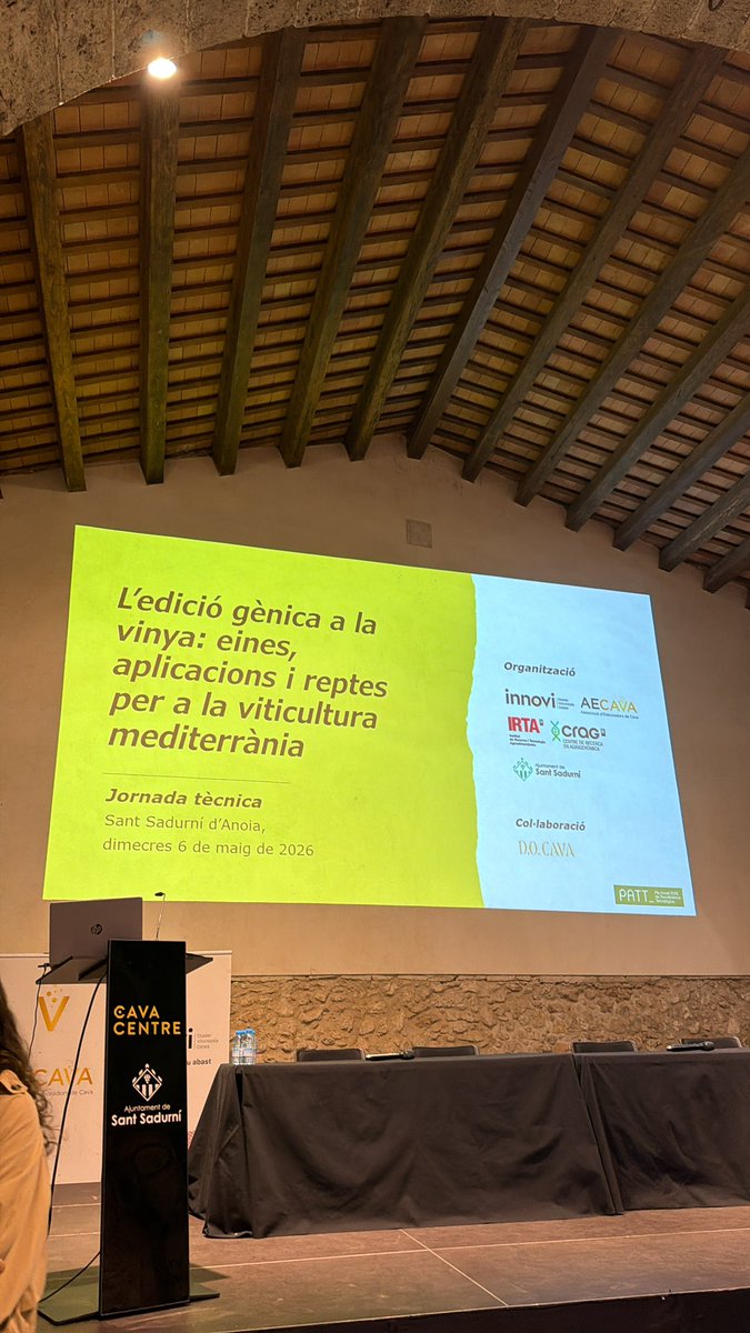 José Tomás Matus tweet media