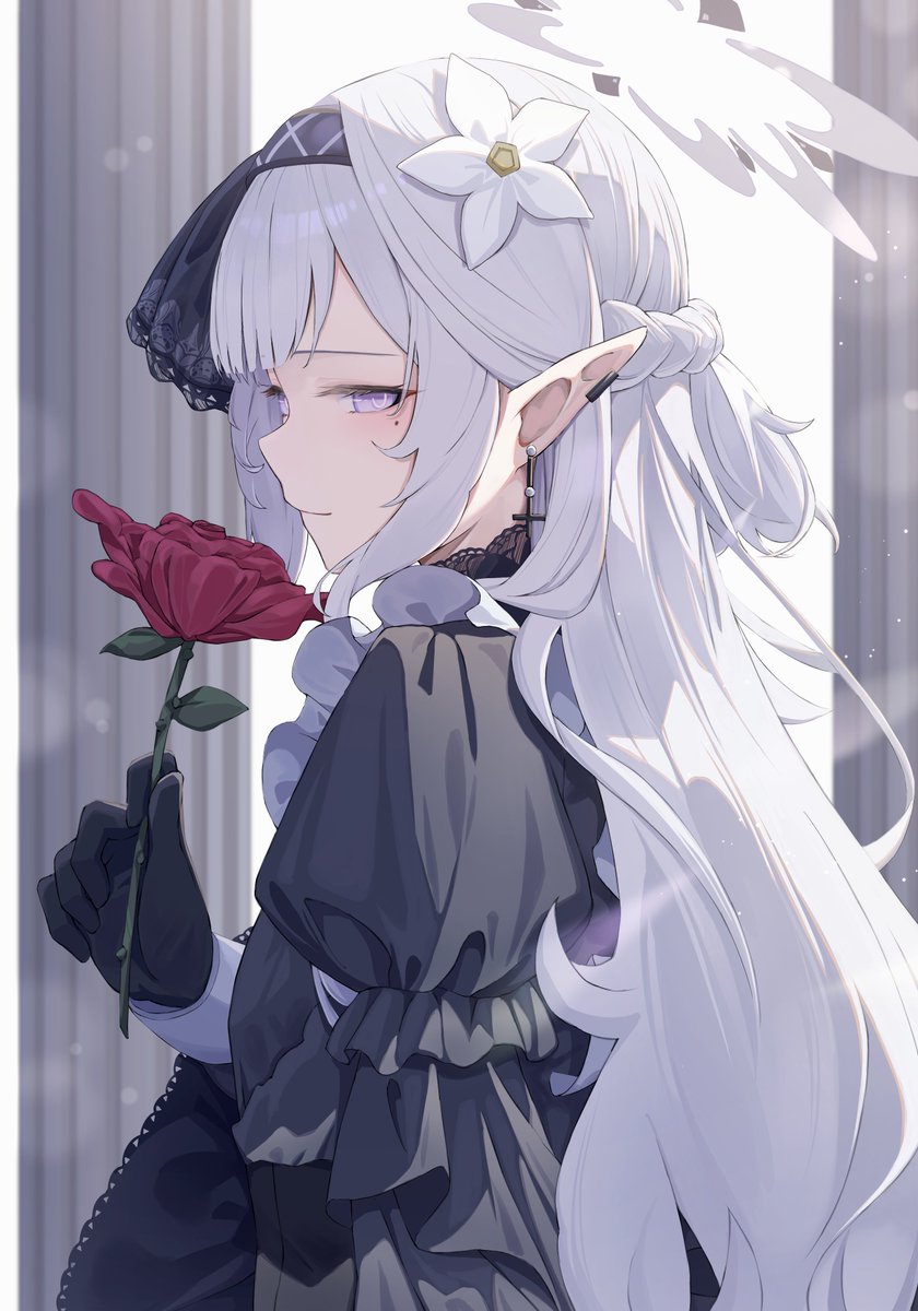🌹🤍