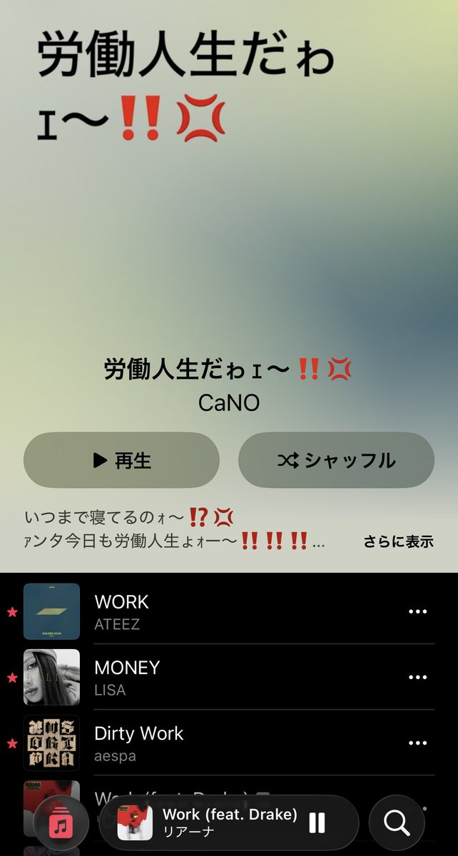 CaNO tweet media