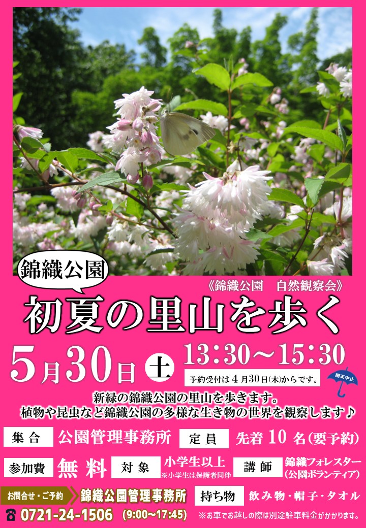 2026年５月３０日(土)「初夏の錦織公園の里山を歩く」を開催致します。予約受付中♪
#体験 #イベント #自然観察 #植物 #お花 #昆虫 #大人 #中学生 #小学生 #大阪府 #富田林市 #錦織公園