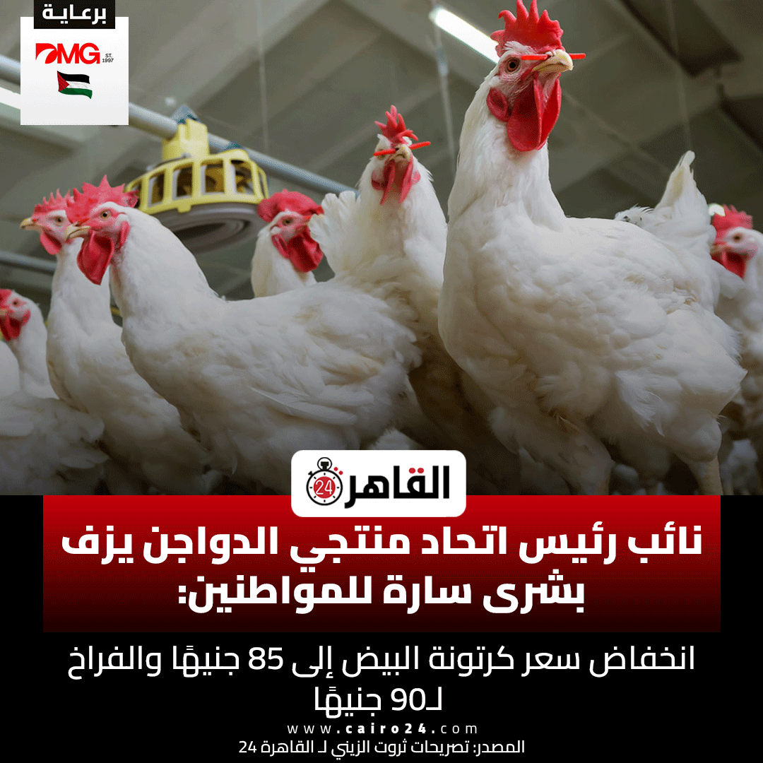 Cairo 24 - القاهرة 24 tweet media