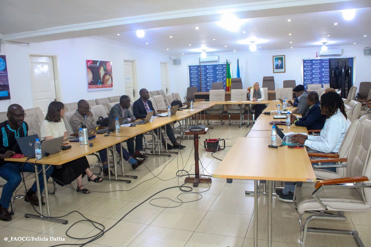 FAOCongo's tweet photo. 📢 Coup d envoi du Legal Hub 2.0 au Congo

Le 05 mai, les partenaires @wcs_congo , @UeCongoBrazza  ont tenu une réunion technique sur l’appui juridique du programme SWM.
🎯 Priorité : faire le point et préparer les prochaines actions.
#SWM #LegalHub #Congo #Réformes #Gouvernance https://t.co/kbcTXjypyW