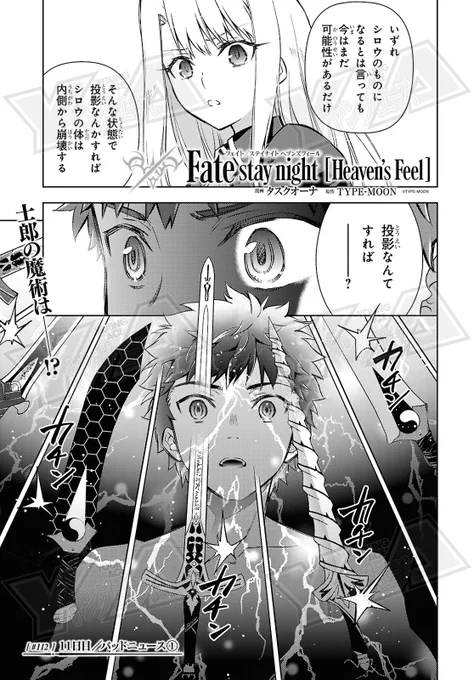 Preview pages for Fate/Stay Night: Heaven's Feel chapter 112 