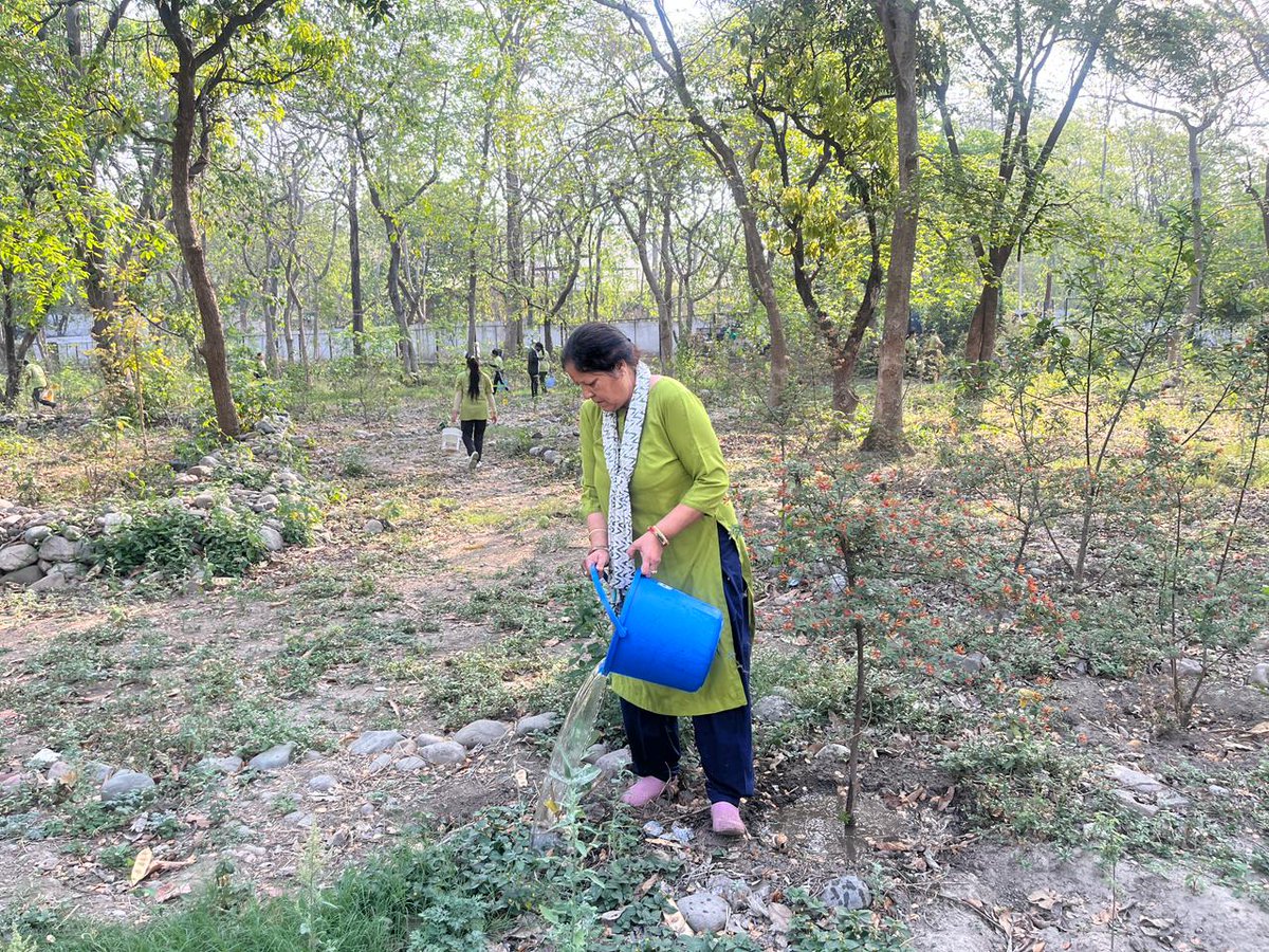 ex_eco's tweet photo. Green Support Drive in Haldwani:Nurturing Every Plant, Sustaining Every Effort.

EcoEx Foundation recently carried out a plantation support initiative at Rudraksh Vatika, Haldwani, where 12,000 liters of water were poured to nourish plants and sustain the growing green ecosystem. https://t.co/JJJixNCDh9
