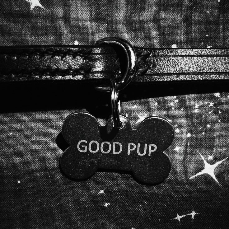 starrix_mutt's tweet photo. 🦴Starrix/Star₊˚⊹
🦴Any Prns + Pan
𐔌՞ ܸ.ˬ.ܸ՞𐦯
☆~ꕀ~☆
ᯓ New to NSFW twt ⋆˚*
ᯓ Sub-Switch
ᯓ I love pet names
ᯓ I don't DM ppl !!
•
☆ Some but not all of my kinks:
~ Petplay
~ Omorashi
~ ABDL // AB/DL
~ BDSM
--- I rarely use TW's !!

🧵Additional in replies⤵︎ (3) https://t.co/w8pEcTPsXC