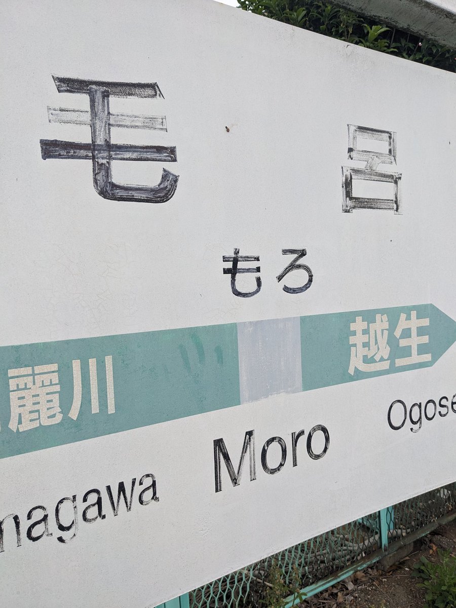 しろ tweet media