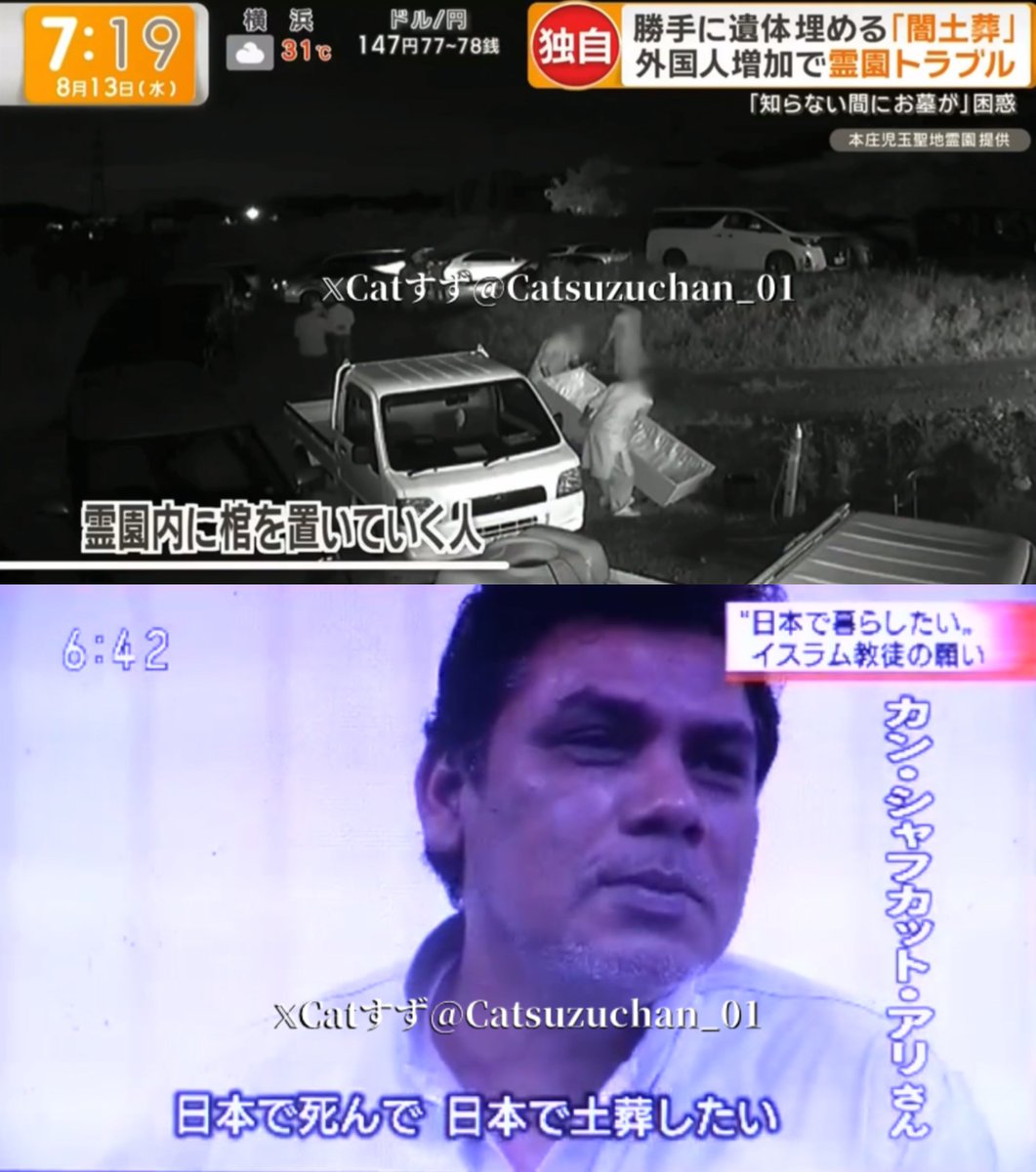 Cat すず。2号 tweet media