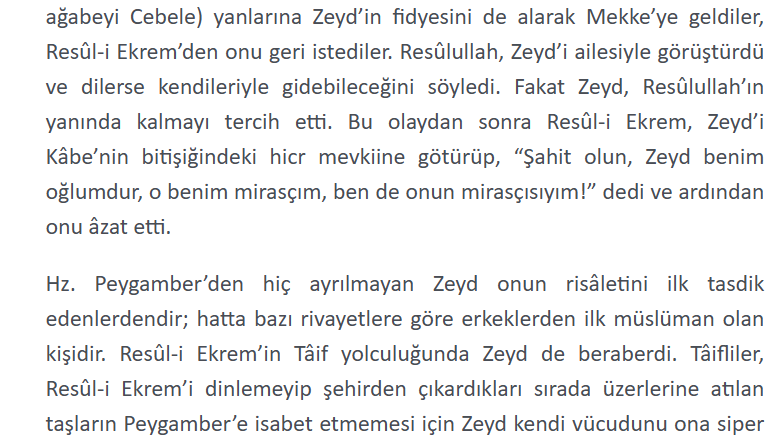 Hazar Mutlu tweet media