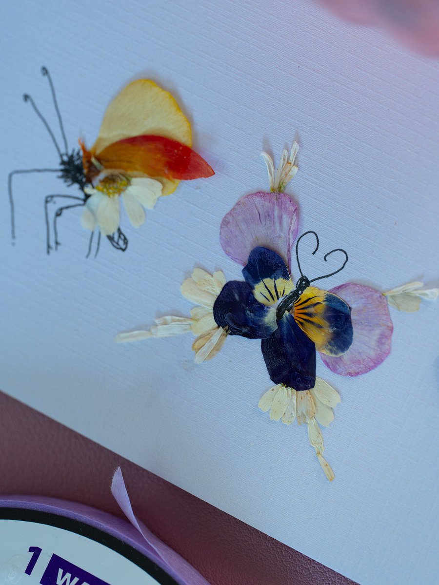 LiddlesTV's tweet photo. Really enthusiastic about making moths and butterflies out of pressed flowers from my garden atm https://t.co/fviVk5yKja
