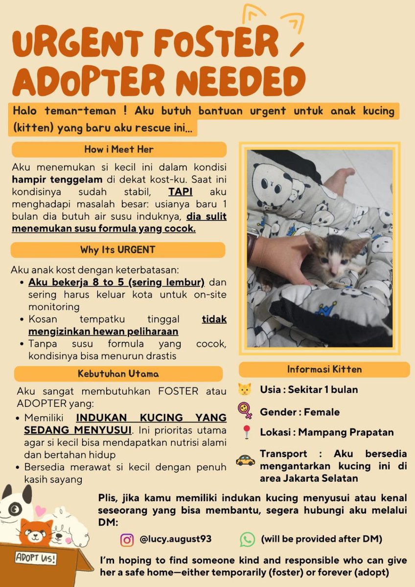 Halo teman-teman, terutama para cat lover.

Ingin minta tolong bantu share lagi ya.

Kita sudah bikin poster dengan informasi yang lebih lengkap untuk rescued kitten kemarin.

Semoga ada yang bisa bantu adopt baik temporarily maupun permanent. 
Feel free to DM.

Terima kasih 🐱