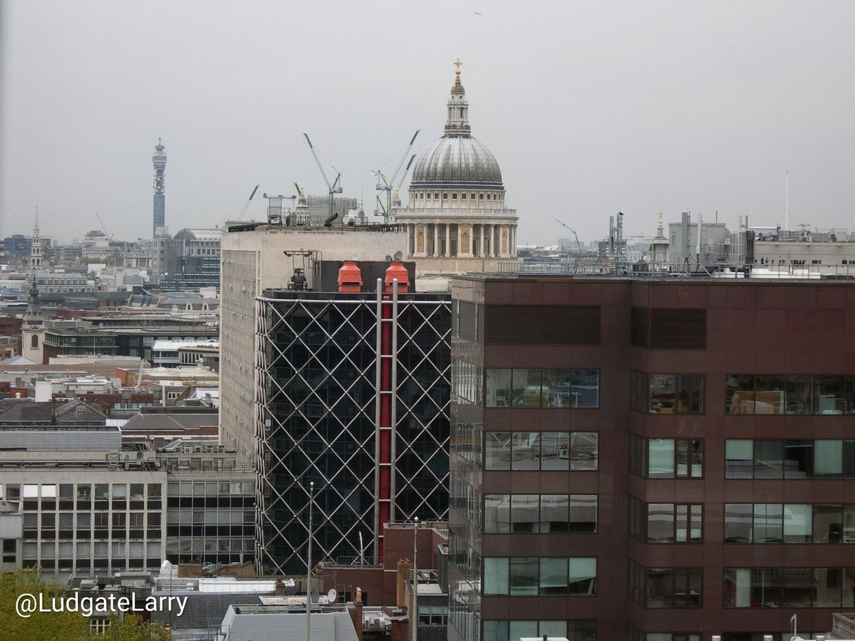Ludgate Larry tweet media