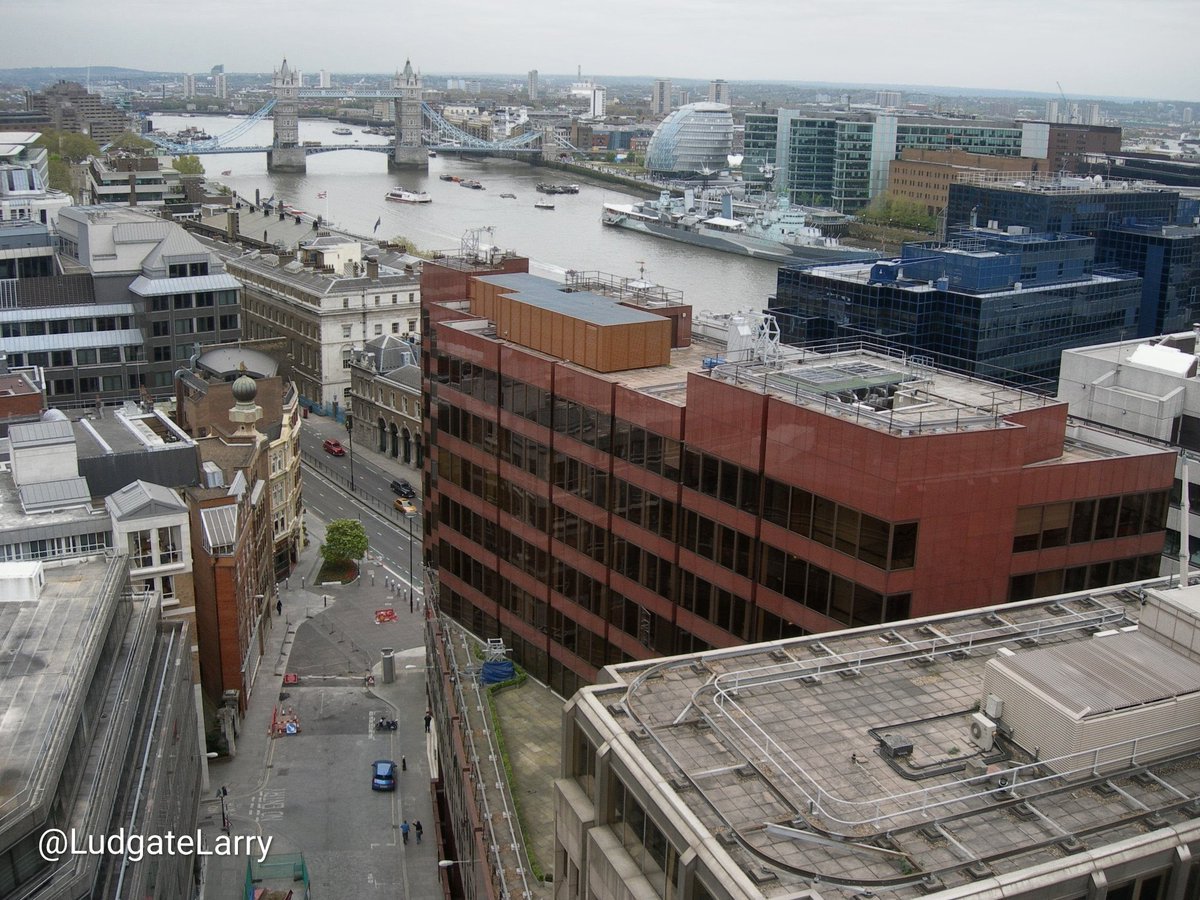 Ludgate Larry tweet media