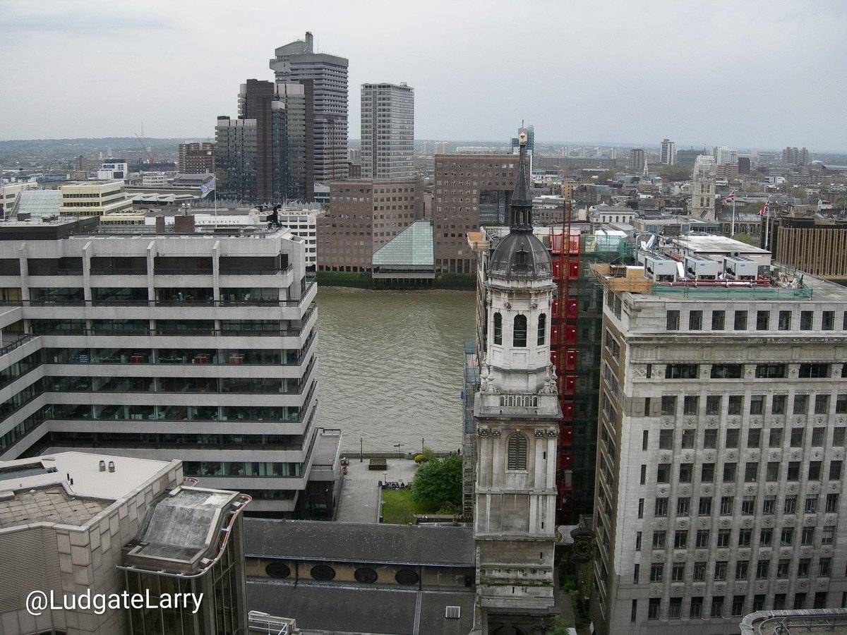 Ludgate Larry tweet media