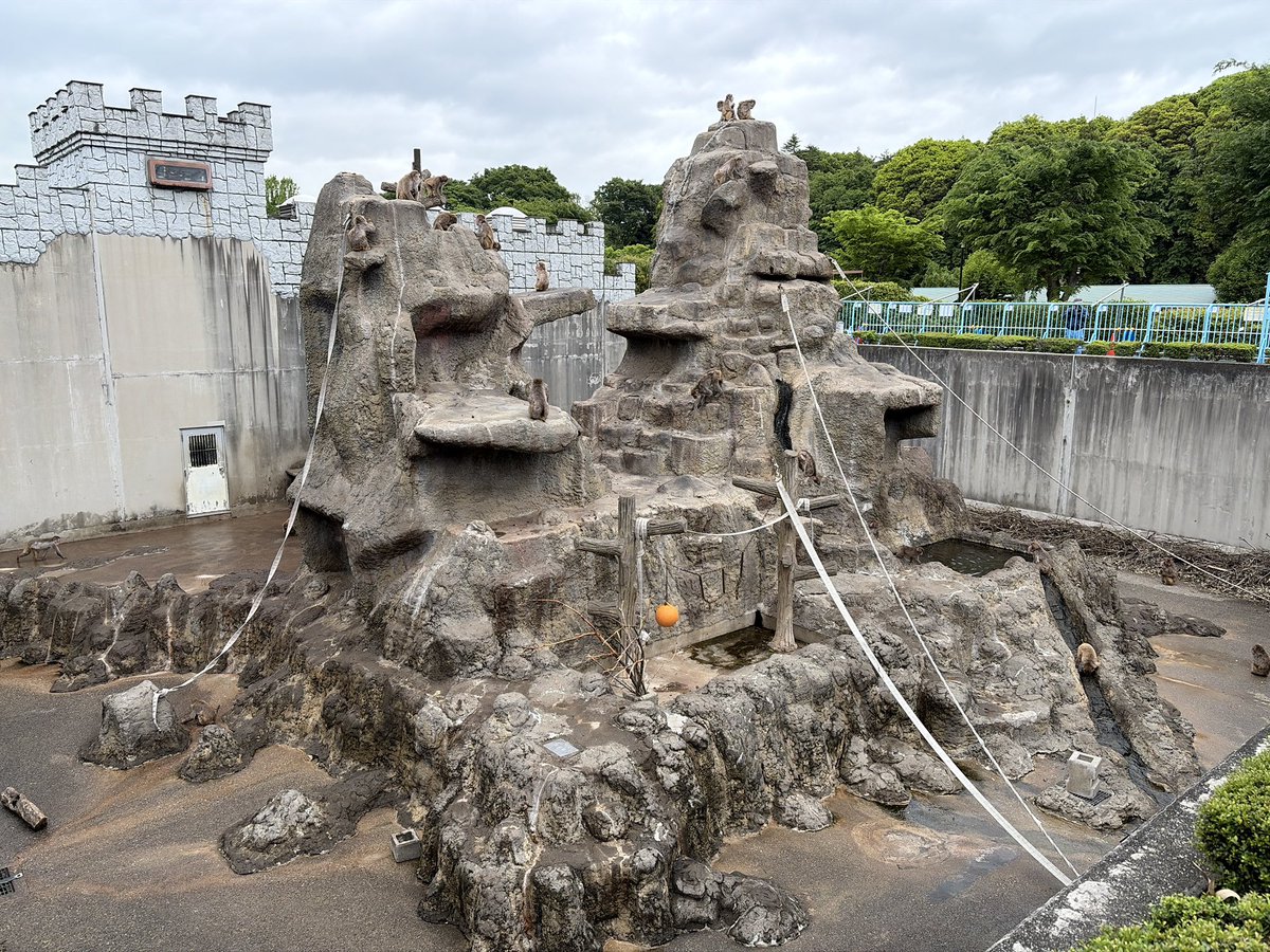 市川市動植物園(公式) tweet media