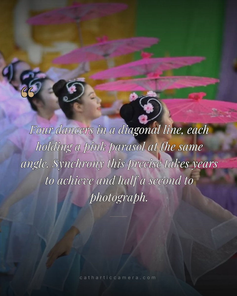 Catharticcamera's tweet photo. Four dancers, four pink parasols, the same angle in the same moment — Southbank, Brisbane, 2015. That synchrony takes years. The photograph takes half a second. https://t.co/4erXickrGJ