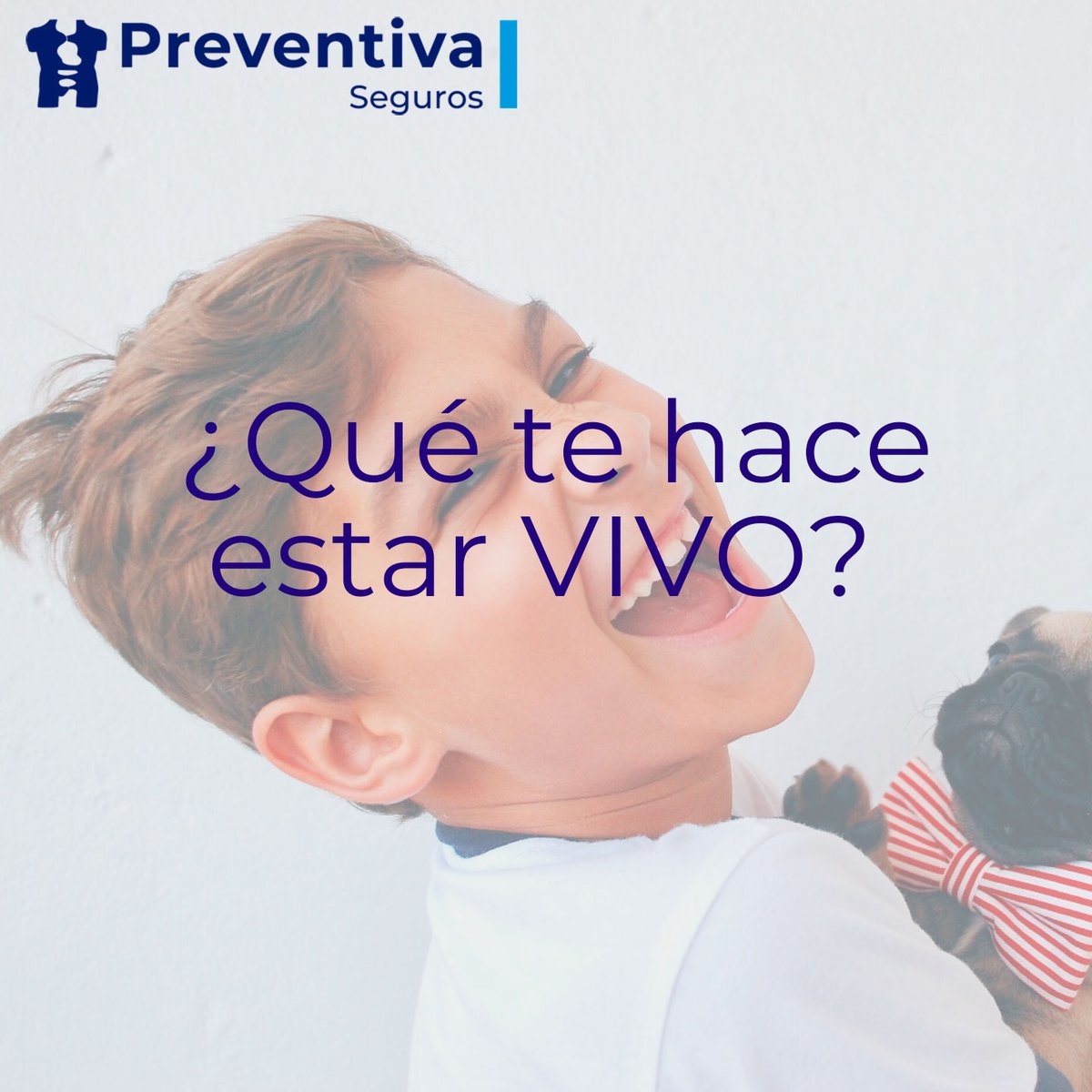 Preventiva Seguros tweet media