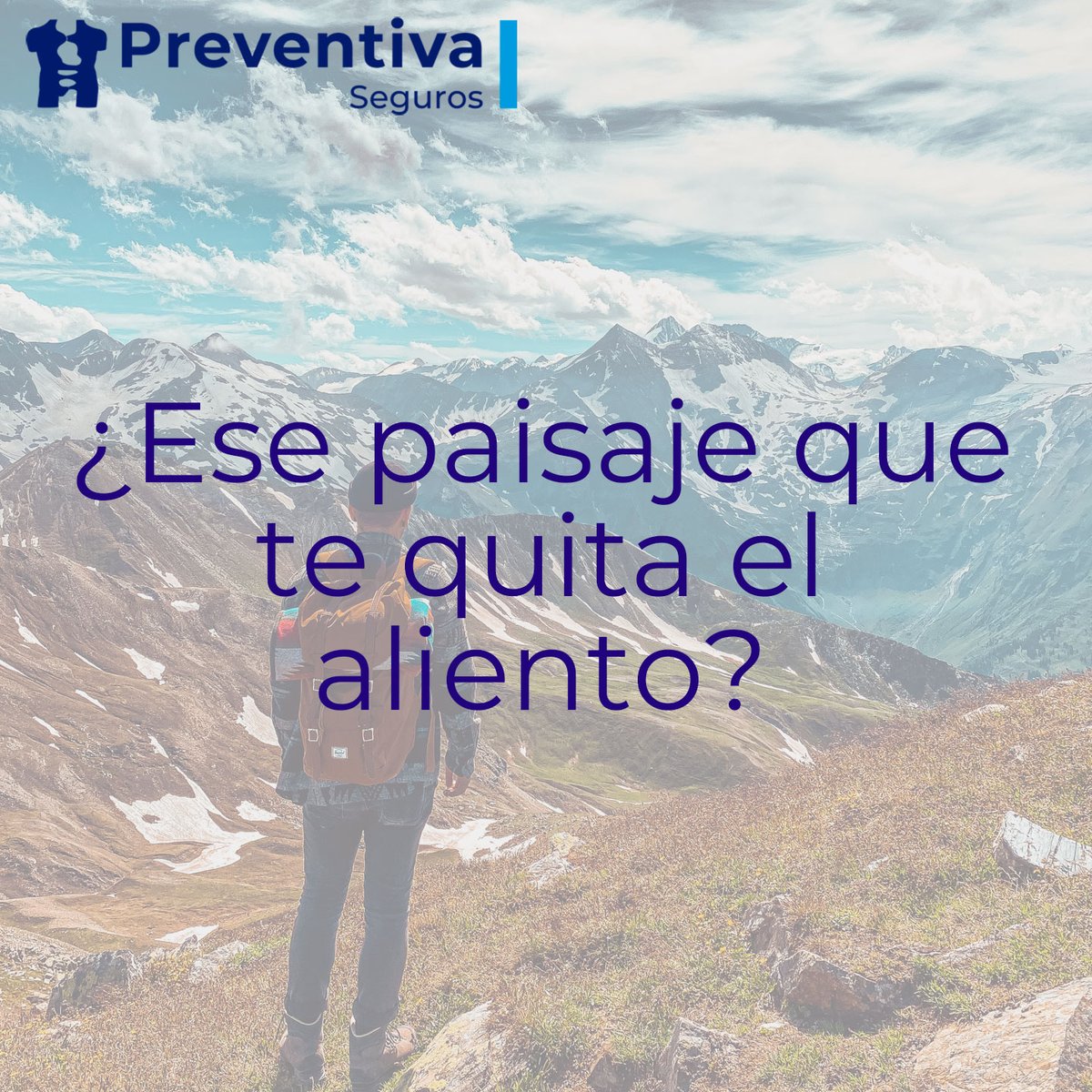 Preventiva Seguros tweet media
