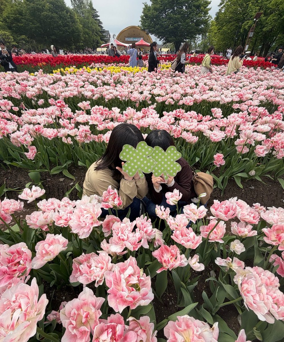 ココチャン tweet media