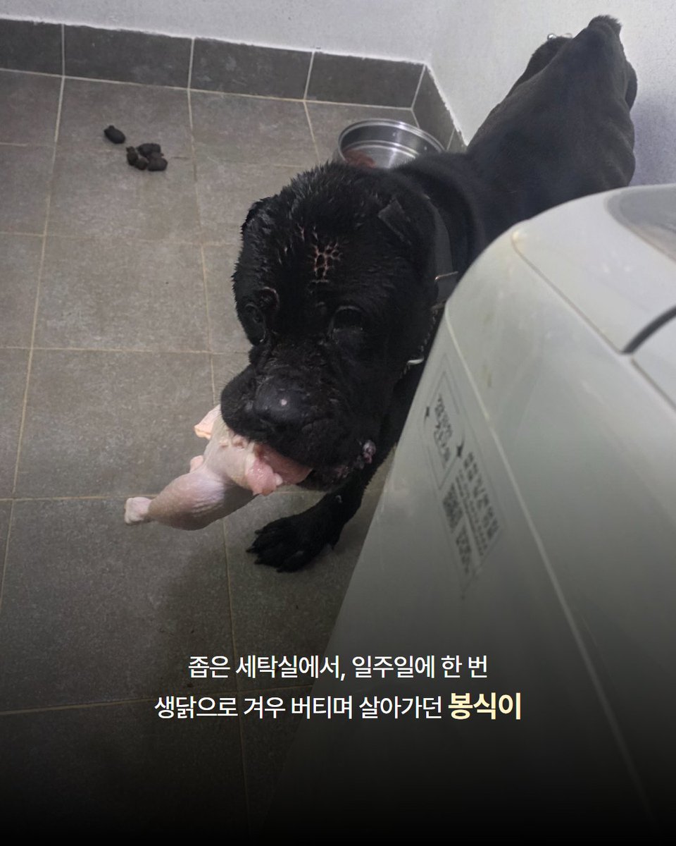 눈누난나❤(사)엔젤프로젝트 tweet media