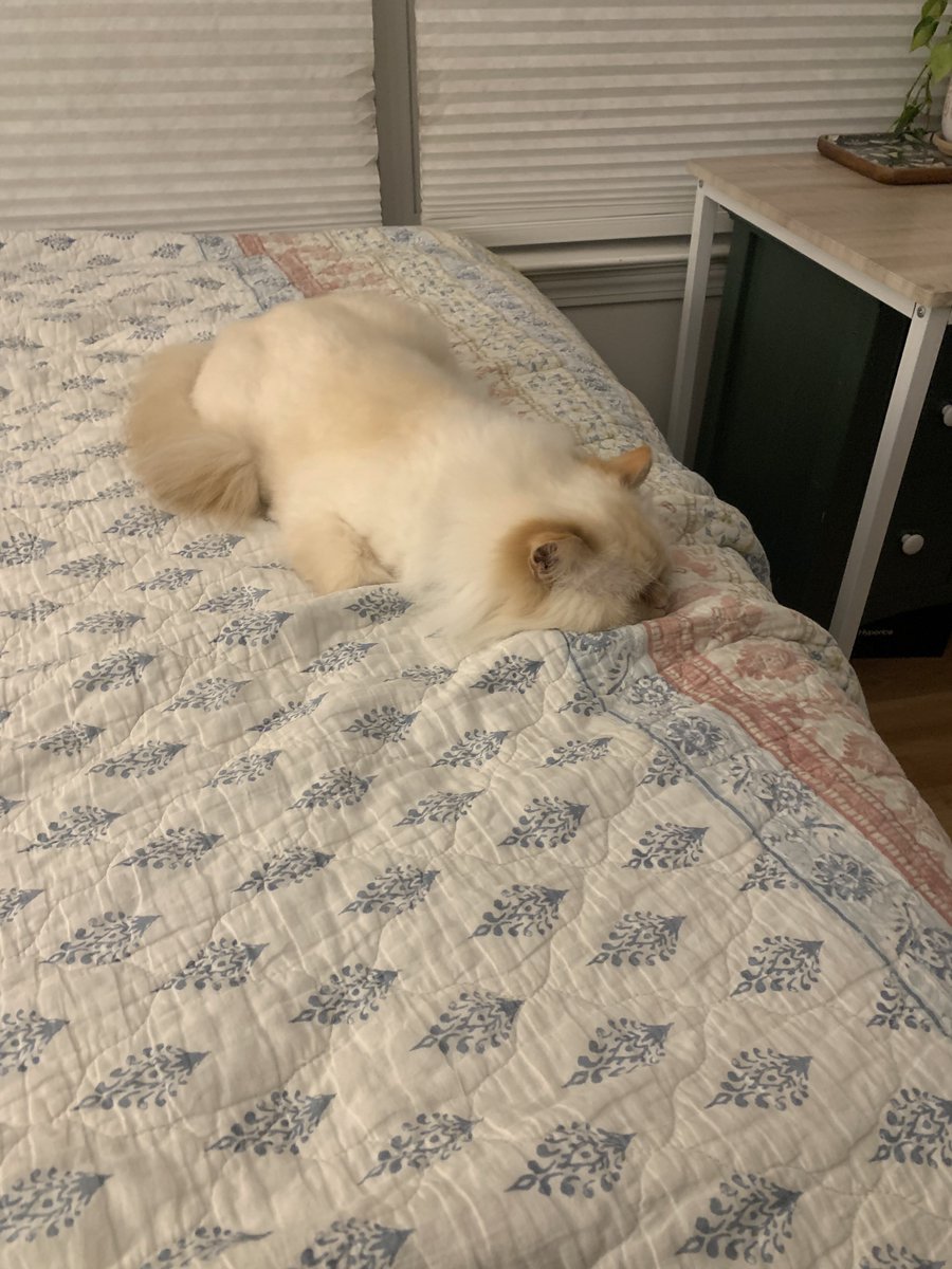 gonzpics's tweet photo. U are so flat bro https://t.co/OblYwTCATn