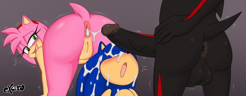 Amy Rose the Hedge-Whore tweet media