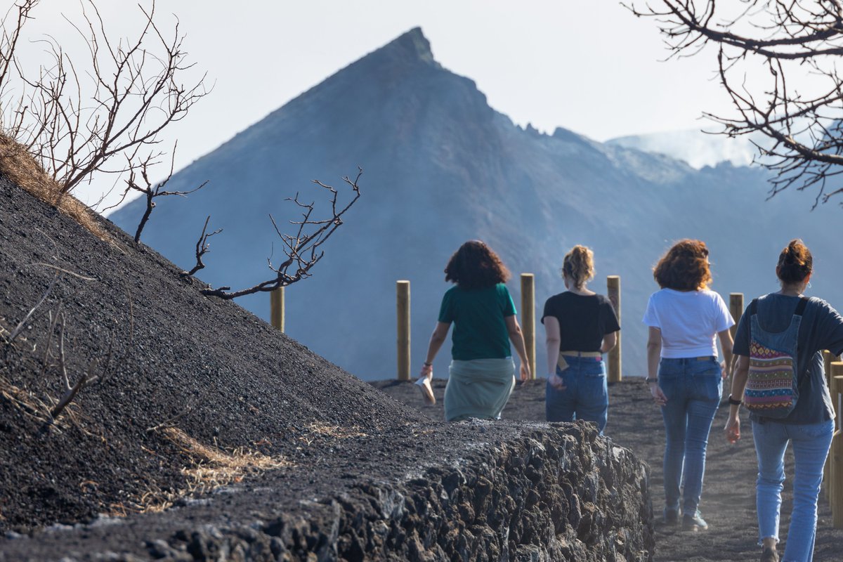 Visitlapalma_de tweet media