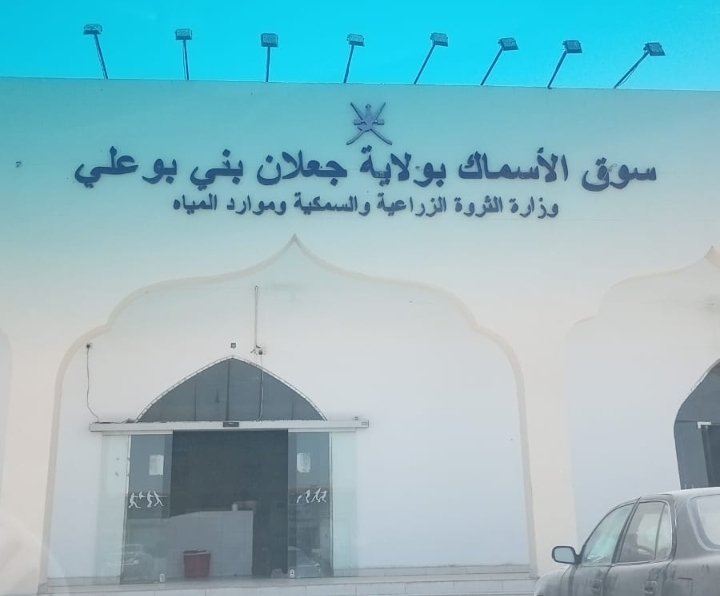 سعيد الساعدي tweet media