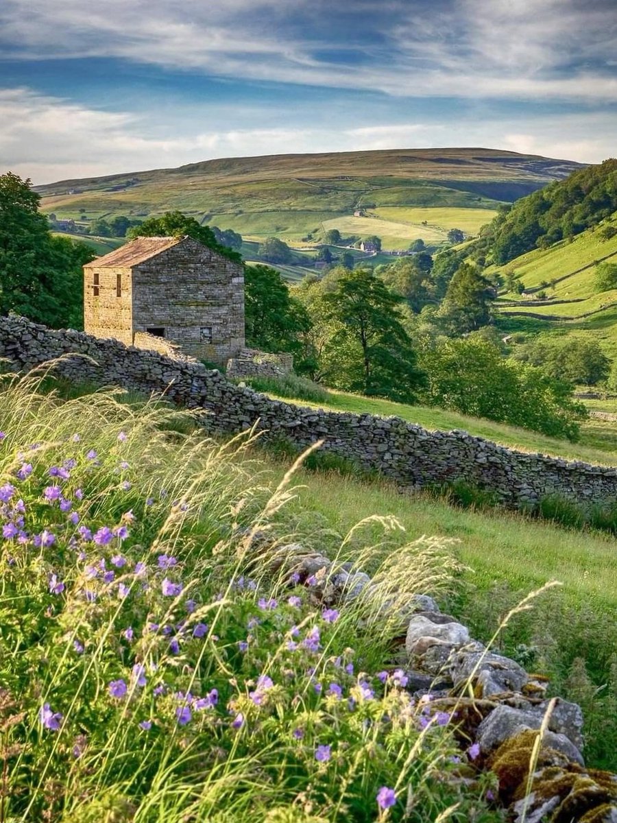 The older I get, the more I understand why people retire to the countryside.