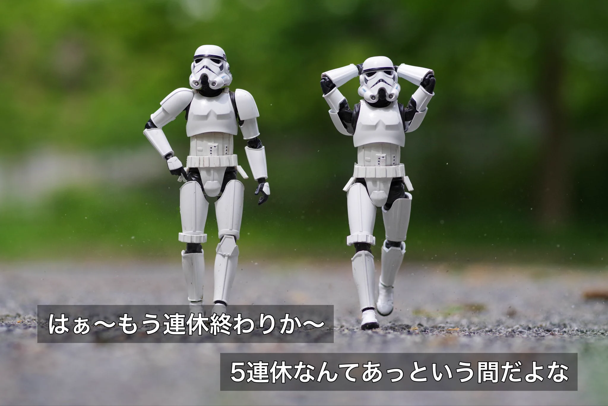 ねぎかつセブン on X: 
