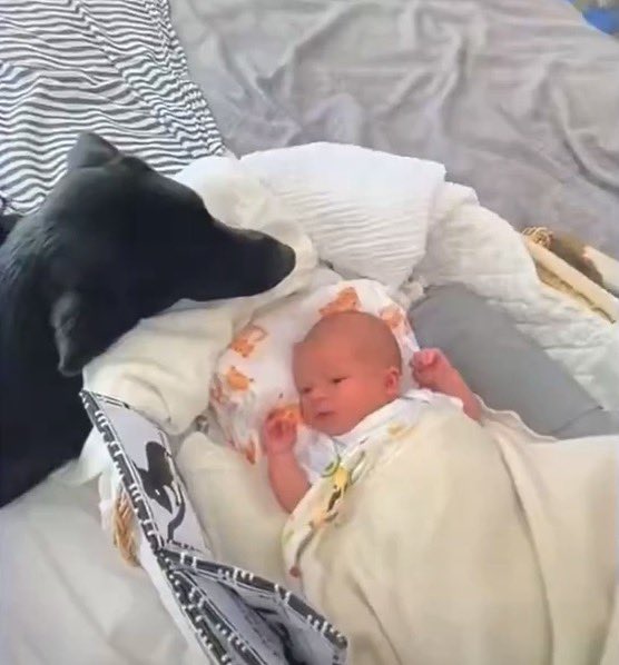 Look at Pula admiring baby Archie!😍👶🏻

#HappyBirthdayArchie
#ArchieTurns7
#PrinceArchie