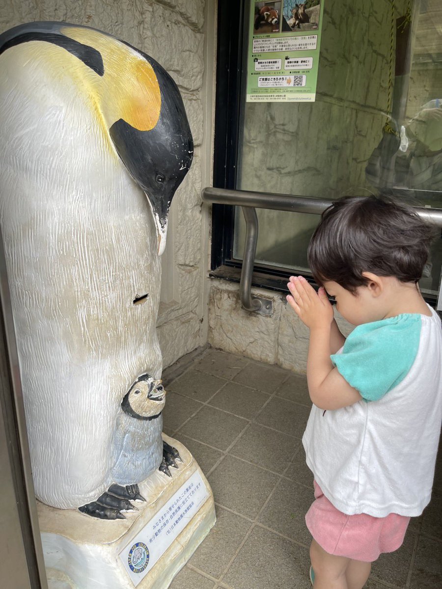 今日はママと2人で夢見ヶ崎動物公園に遊びに行きました🎵
ペンギンさんの募金箱にお参りする秀兎くん。
なんで⁉️😅
#テアトルアカデミー
#キッズモデル