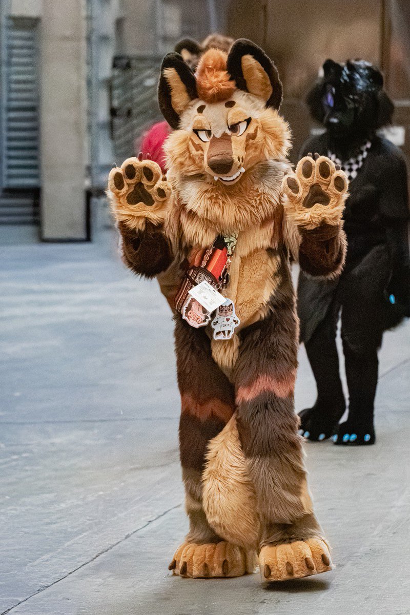 IridOrfa's tweet photo. How to find at fwa:

I’ll be walking around the lobby with my squad doing whatever seems fun:

Do: 
Ask for photos 
Ask for stickers

Don’t: 
should already know 👍 https://t.co/0BolMx14kH