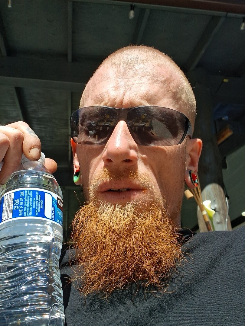 SPGInKzTTV tweet media