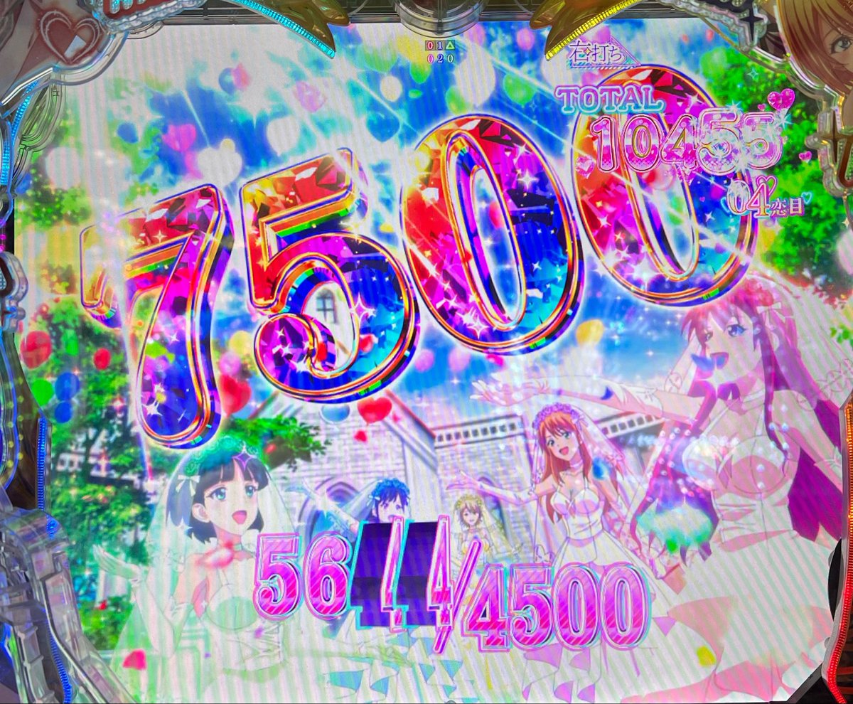 みゃ〜 tweet media