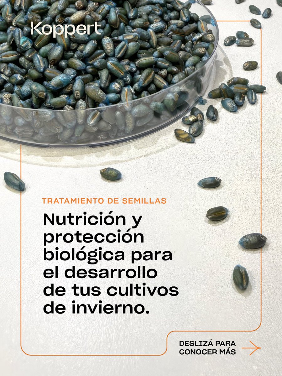KoppertArg's tweet photo. Esta campaña sumá #TecnologíasBiológicas de aplicación en semilla para la nutrición y protección de tus cultivos de invierno.

Biológico es nuestra naturaleza. Conocé más en https://t.co/HBIdq6iMk7

#BiológicoEsKoppert #TecnologiaViva #BiológicoEsNuestraNaturaleza #Trigo https://t.co/UnVham8NvW